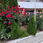 бутикови студиа брита Kranevo