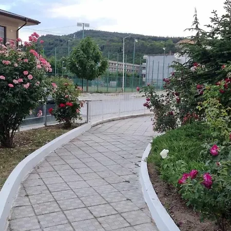 бутикови студиа брита *