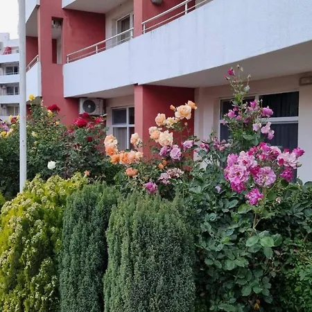 бутикови студиа брита