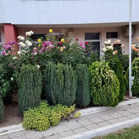 бутикови студиа брита Appartement