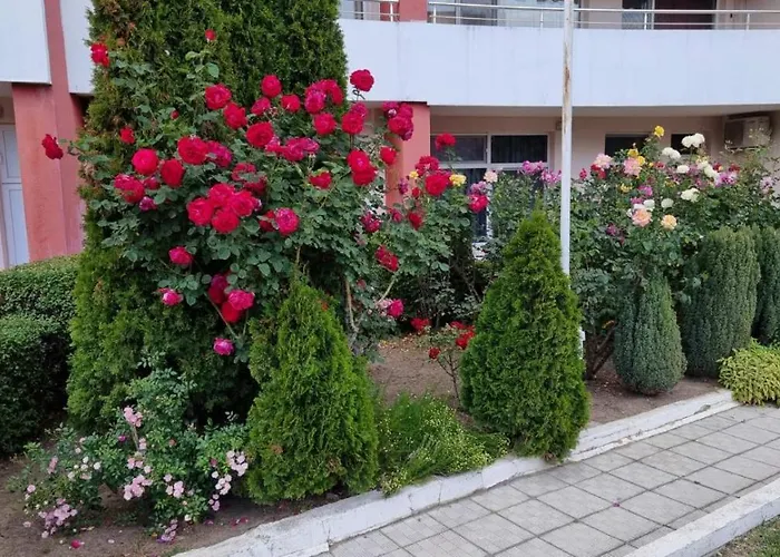 бутикови студиа брита Kranevo