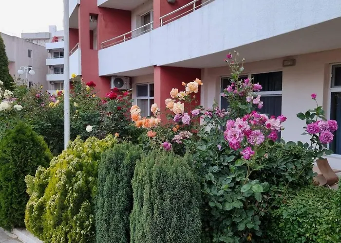 бутикови студиа брита