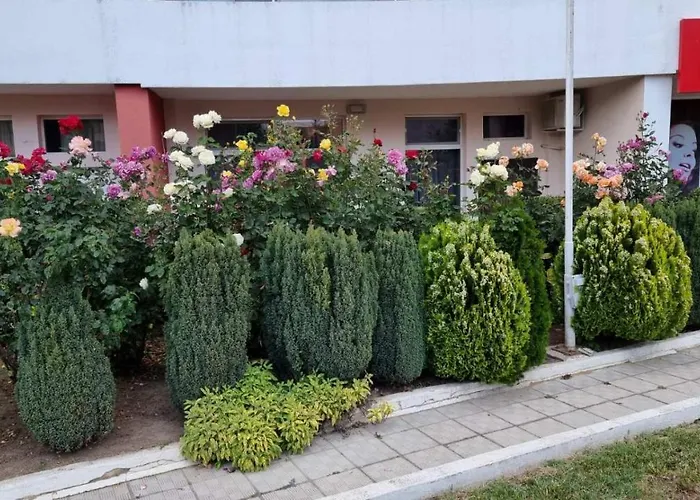 бутикови студиа брита Lejlighed